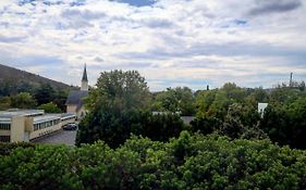 Quiet Hidden Gem In Historic Stellenbosch